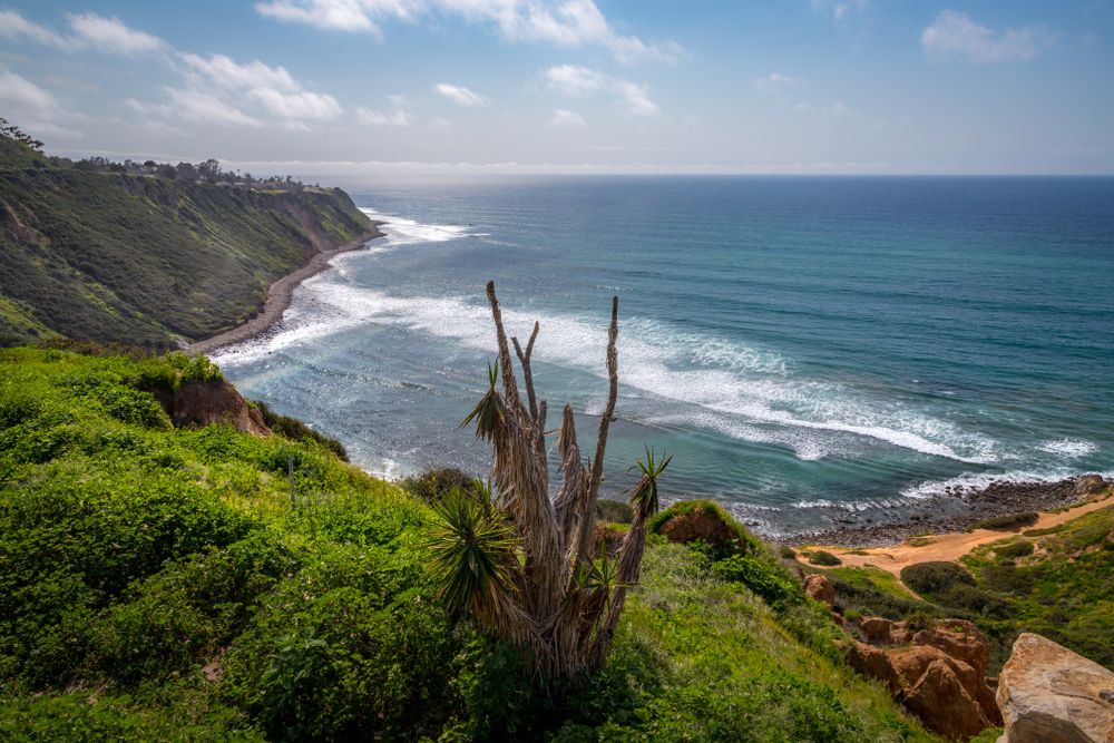 Scenic view of Palos Verdes Estates Shoreline Preserve