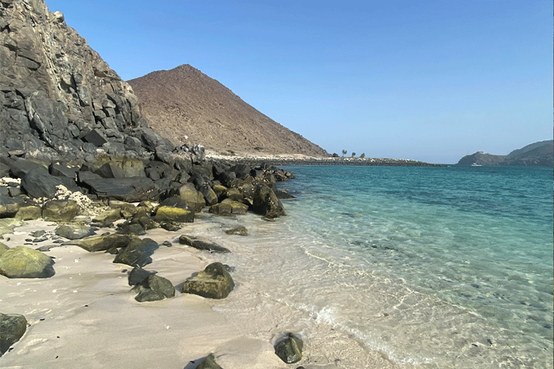 shark-island-secret-beach