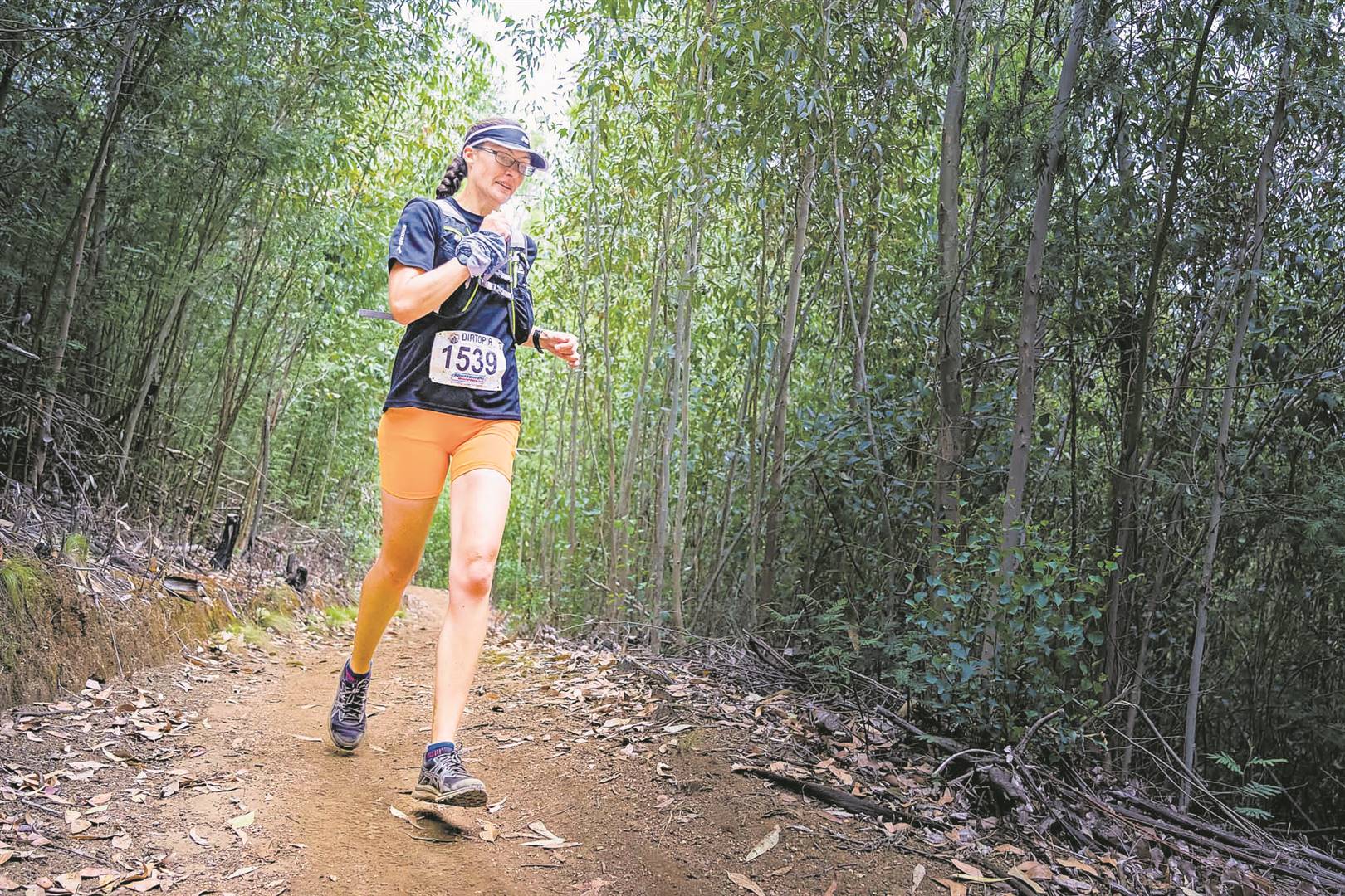 All routes will do a quick loop through the nearly ripe vineyards and morning views below Simonsberg, before climbing into the single-track above the cellar.Foto: 