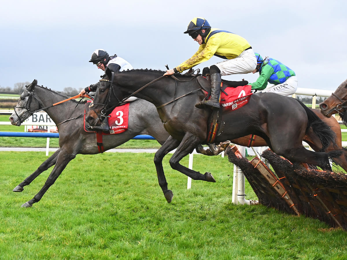  Irish Point jumps the last in front from winner Marine Nationale in the Royal Bond last time (Photo: Healy / focusonracing.com)