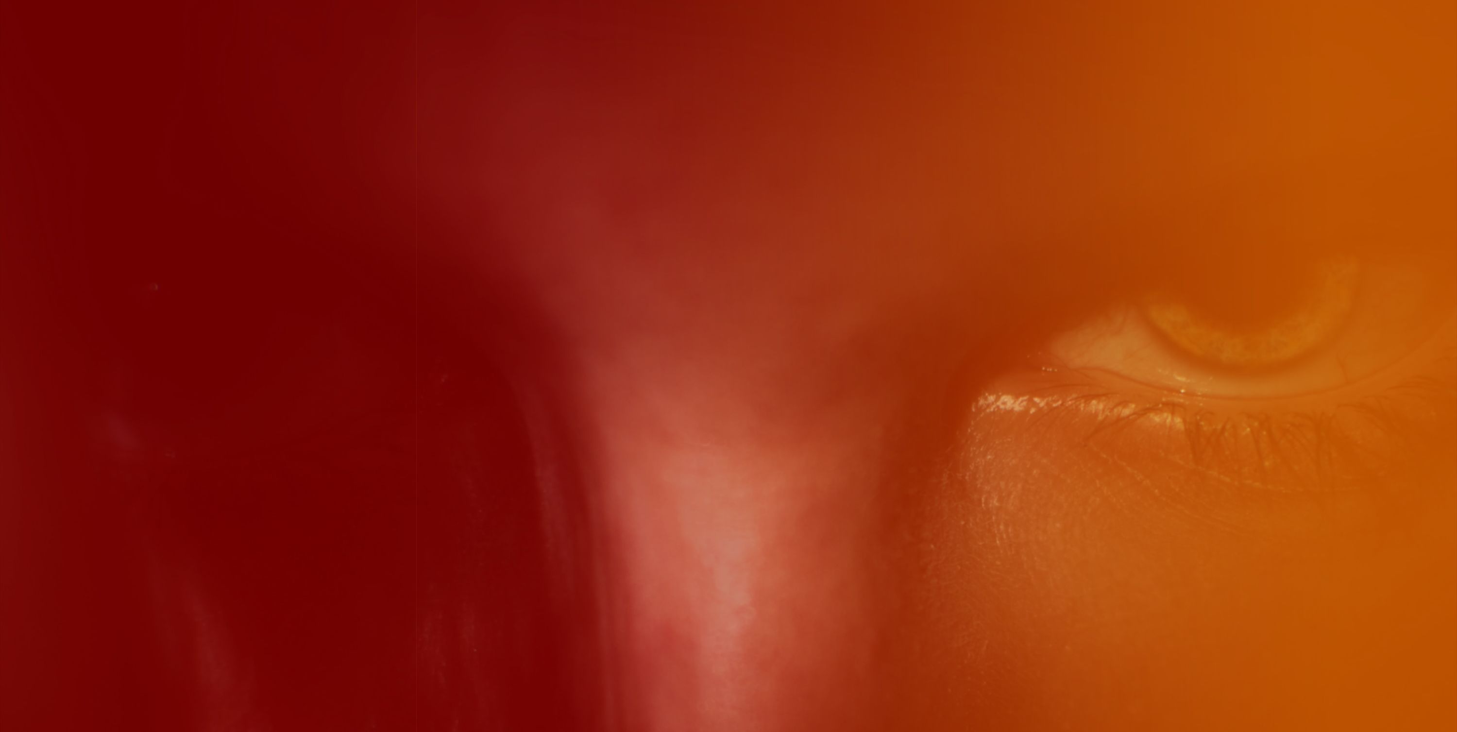 Red, Orange, Yellow, Nose, Skin, Close-up, Lip, Amber, Peach, Mouth, 