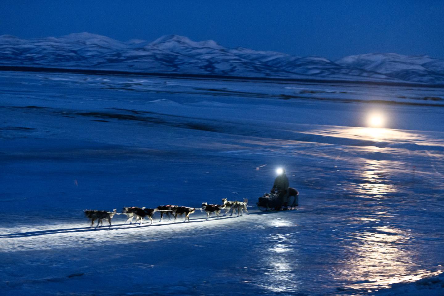 Unalakleet, Iditarod