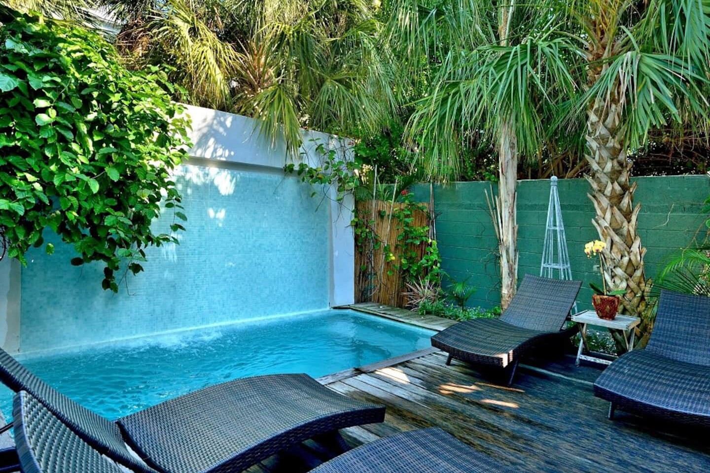 Plunge pool in backyard