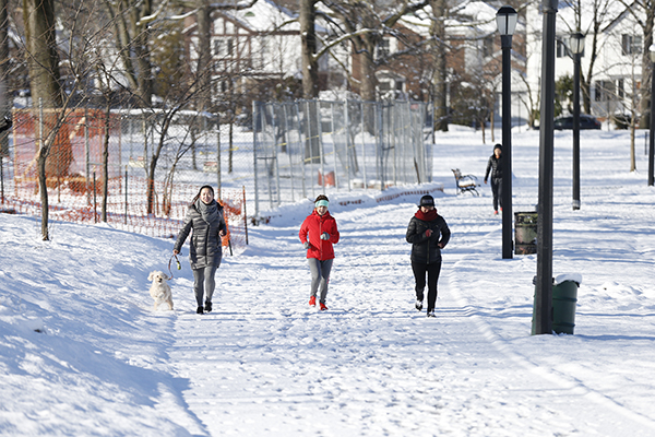 Runners and dog in snow in Cunningham Park