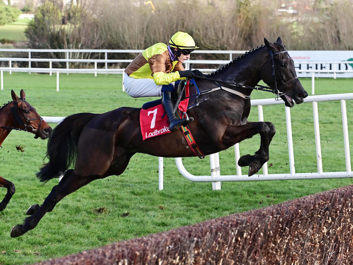(Photo: Healy / focusonracing.com)