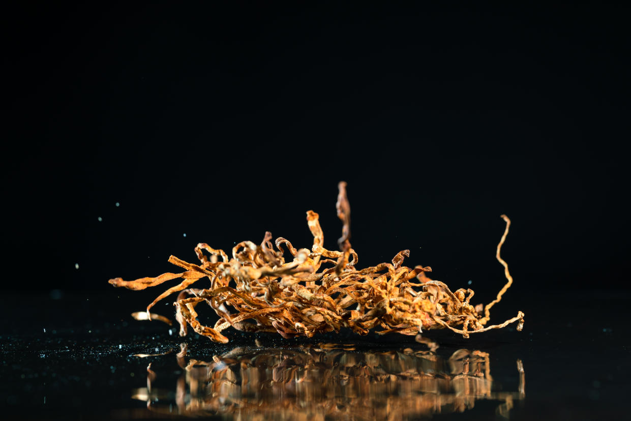 Cordyceps fungus. (Getty Images)